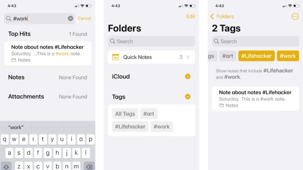 How to use tags in Notes in Notes app shown on iPhone screen for organizing notes
